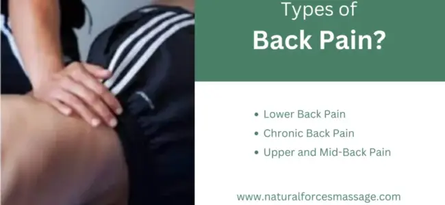 Types-of-Back-Pain-1024x576